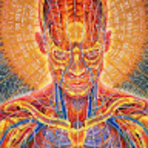 Meet your Posher, Samuel